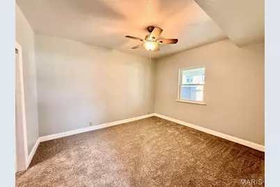 706 N Desloge Drive, Desloge, MO 63601 - Photo 17