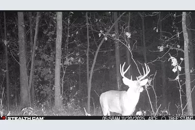 1219 Godt Road, Wright City, MO 63390 - Photo 7
