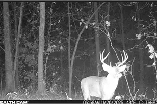 1219 Godt Rd, Wright City, MO 63390 - Photo 7