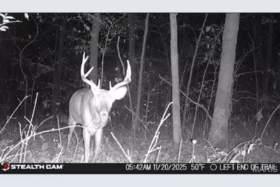 1219 Godt Road, Wright City, MO 63390 - Photo 5