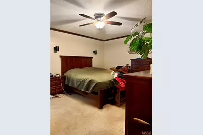 78 Lake Apollo Drive, Hannibal, MO 63401 - Photo 29