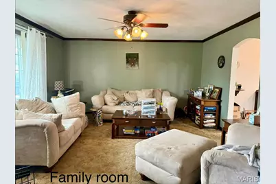 78 Lake Apollo Drive, Hannibal, MO 63401 - Photo 7