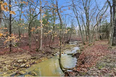 9937 Sassafras Drive, Unincorporated, MO 63050 - Photo 7