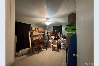 54 County Road 560, Poplar Bluff, MO 63901 - Photo 9