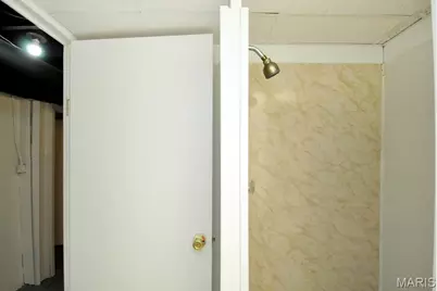 4404 S 39th Street, Saint Louis, MO 63116 - Photo 37