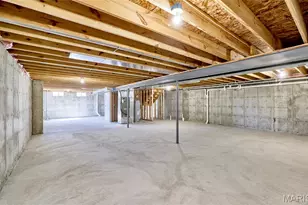 128 Peruque Creek Manor, Wright City, MO 63390 - Photo 67