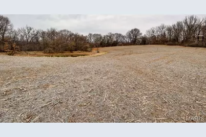 000 Pike 279, Bowling Green, MO 63334 - Photo 41