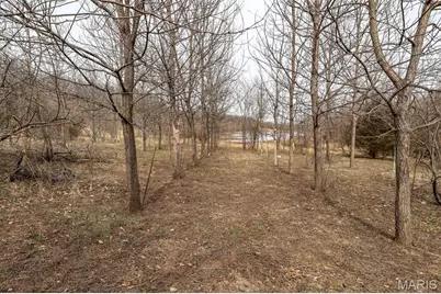 000 Pike 279, Bowling Green, MO 63334 - Photo 35