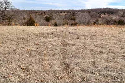 000 Pike 279, Bowling Green, MO 63334 - Photo 31