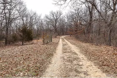 000 Pike 279, Bowling Green, MO 63334 - Photo 33