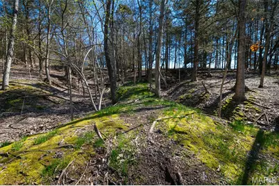 2104 Grand Army Road, Labadie, MO 63055 - Photo 61