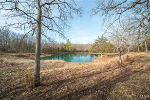 18325 State Rte O, Rolla, MO 65401 - Photo 39