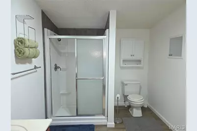 377 South Oak, Wappapello, MO 63966 - Photo 9