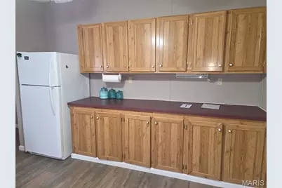 377 South Oak, Wappapello, MO 63966 - Photo 3