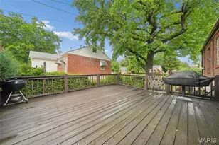 7319 Morgan Ford Rd, Saint Louis, MO 63116 - Photo 21