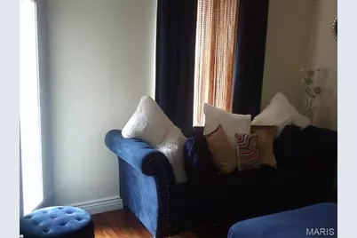 3878 Marine Avenue, Saint Louis, MO 63118 - Photo 7