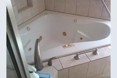 3878 Marine Avenue, Saint Louis, MO 63118 - Photo 27