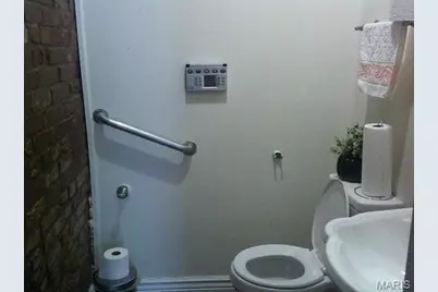 3878 Marine Avenue, Saint Louis, MO 63118 - Photo 21