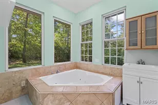 8 Balcon Estate, Creve Coeur, MO 63141 - Photo 51