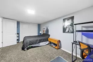 407 Jefferson Ave, Crystal City, MO 63019 - Photo 29