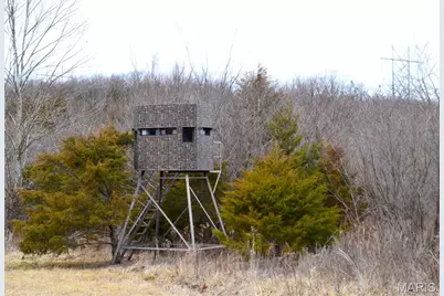 0 Frankfort Dr, Long Lane, MO 65590 - Photo 13