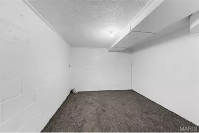 410 S 4th Street, Festus, MO 63028 - Photo 39