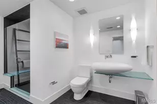 7489 Washington Ave, University City, MO 63130 - Photo 57