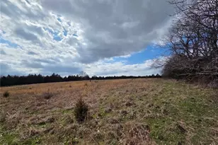 353 County Rd 2400, Salem, MO 65560 - Photo 51