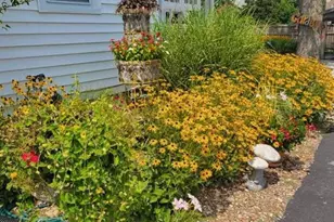 113 N 8th St, Louisiana, MO 63353 - Photo 15