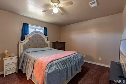 11218 Maries Road 225, Dixon, MO 65459 - Photo 9