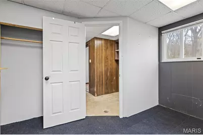 4161 Lakeview Drive, Hillsboro, MO 63050 - Photo 59