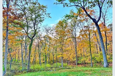 7887 Jim Weber Road, Eureka, MO 63025 - Photo 33