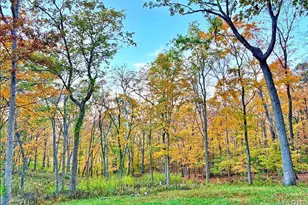 7887 Jim Weber Rd, Eureka, MO 63025 - Photo 33