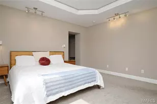 2703 McNair Ave, Saint Louis, MO 63118 - Photo 21