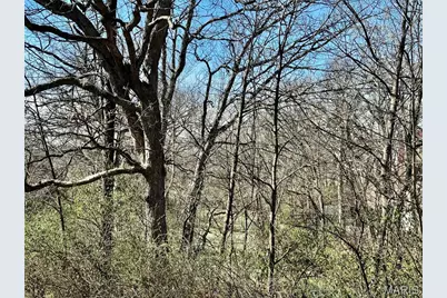 16349 Justus Post Road, Chesterfield, MO 63017 - Photo 21