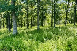 0 Krausetown Rd, Robertsville, MO 65066 - Photo 1