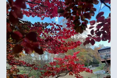 17 Praise Court, Fenton, MO 63026 - Photo 33