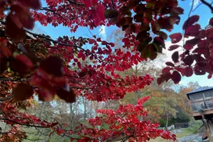 17 Praise Ct, Fenton, MO 63026 - Photo 33