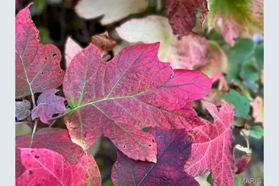 17 Praise Court, Fenton, MO 63026 - Photo 35