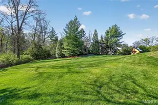 11 Fielding Rd, Ladue, MO 63124 - Photo 45