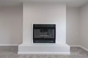 730 Willow Spring Hill Ct, Chesterfield, MO 63017 - Photo 89