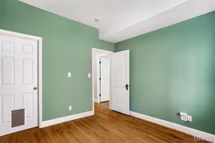 310 N Newstead Ave, Saint Louis, MO 63108 - Photo 39