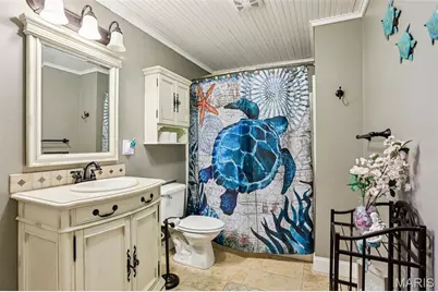 118 Riverwalk Drive, Desloge, MO 63628 - Photo 33