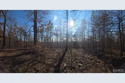 19-4.0-019-0 00-000-012.00000 Drive, Potosi, MO 63664 - Photo 3