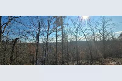 19-4.0-019-0 00-000-012.00000 Drive, Potosi, MO 63664 - Photo 9