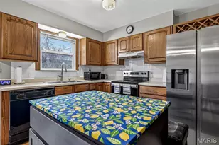 713 Lansdowne St, De Soto, MO 63020 - Photo 21