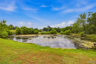 3245 Cedar Falls Rd, Bonne Terre, MO 63628 - Photo 79