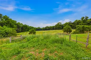 3245 Cedar Falls Rd, Bonne Terre, MO 63628 - Photo 77