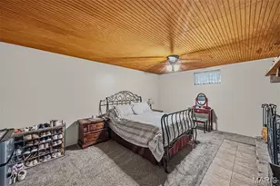 3245 Cedar Falls Rd, Bonne Terre, MO 63628 - Photo 47