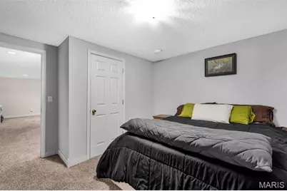 7 Morning Mist Court, Saint Peters, MO 63376 - Photo 43